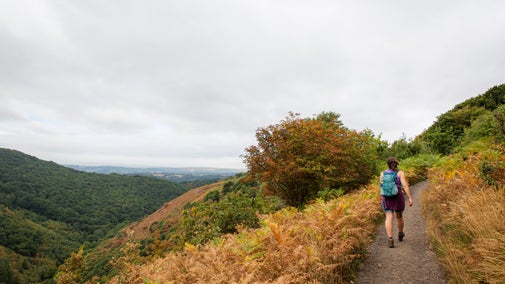 Visitor on the walking trail from Castle Drogo to Fingle Bridge